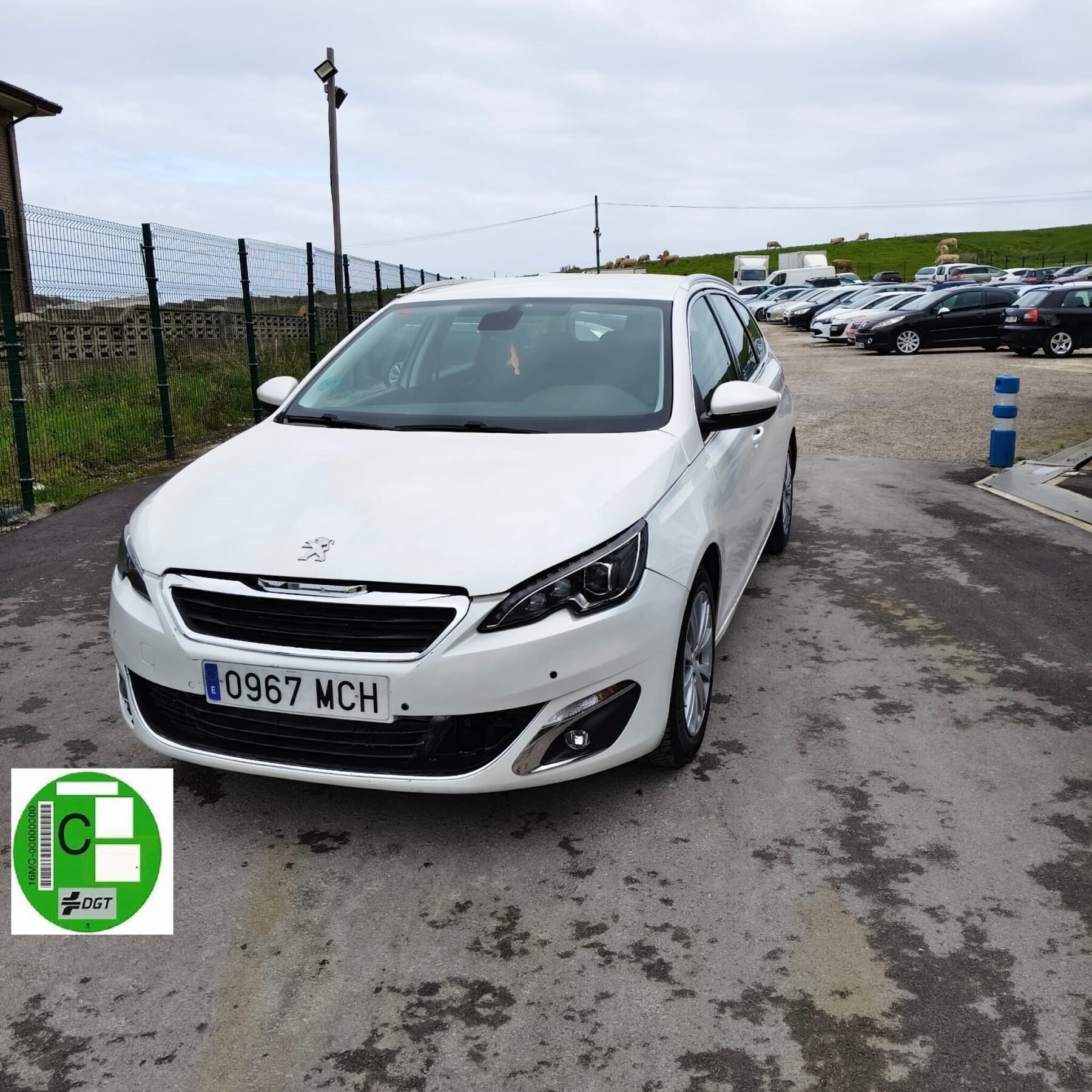 PEUGEOT 308 SW 1.6 BLUEHDI S&S