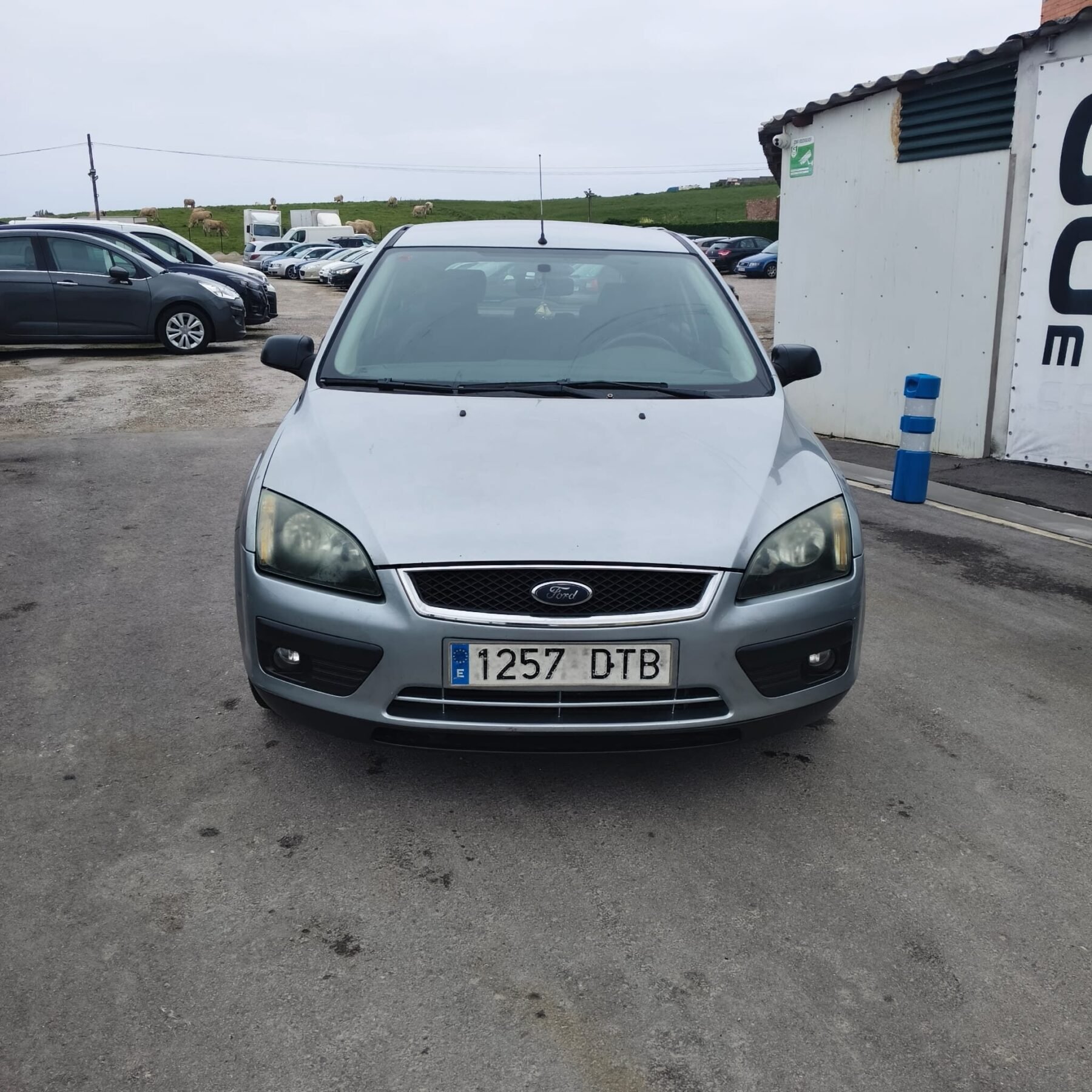 FORD FOCUS 1.6TDCI