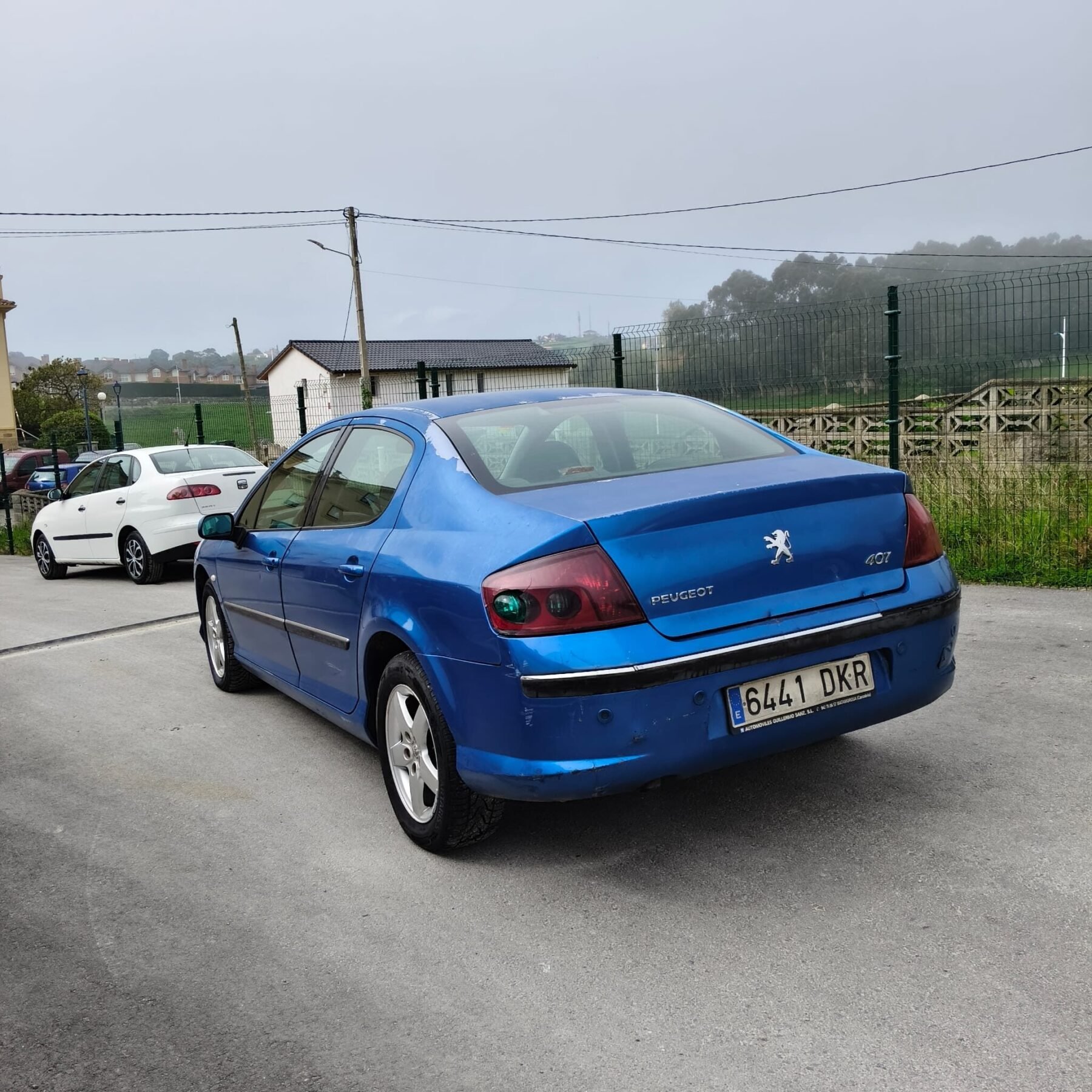 PEUGEOT 407 ST Sport HDI